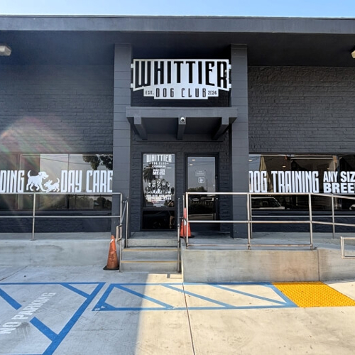 Window & Wall Graphics
